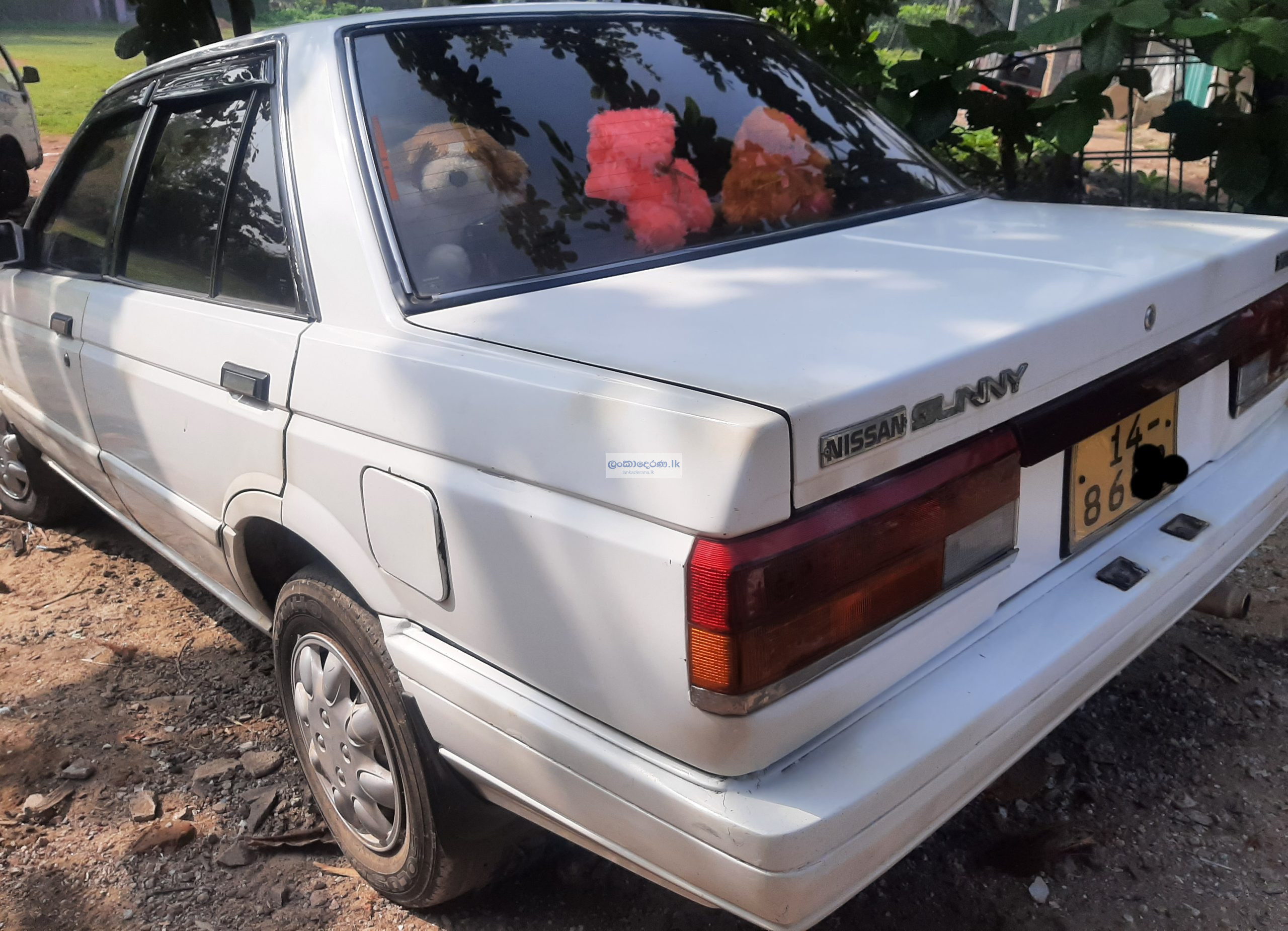 nissan trad sunny