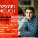 ONLINE/INDIVIDUAL ENGLISH CLASSES FOR EDEXCEL/CAMBRIDGE STUDENTS + PAPER REVISION CLASSES BY LADY