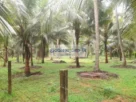 Land for sale Katunayake