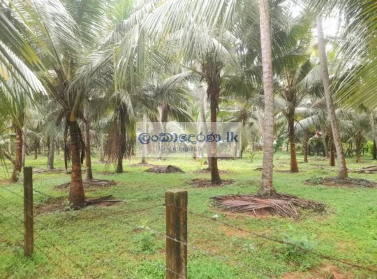 Land for sale Katunayake