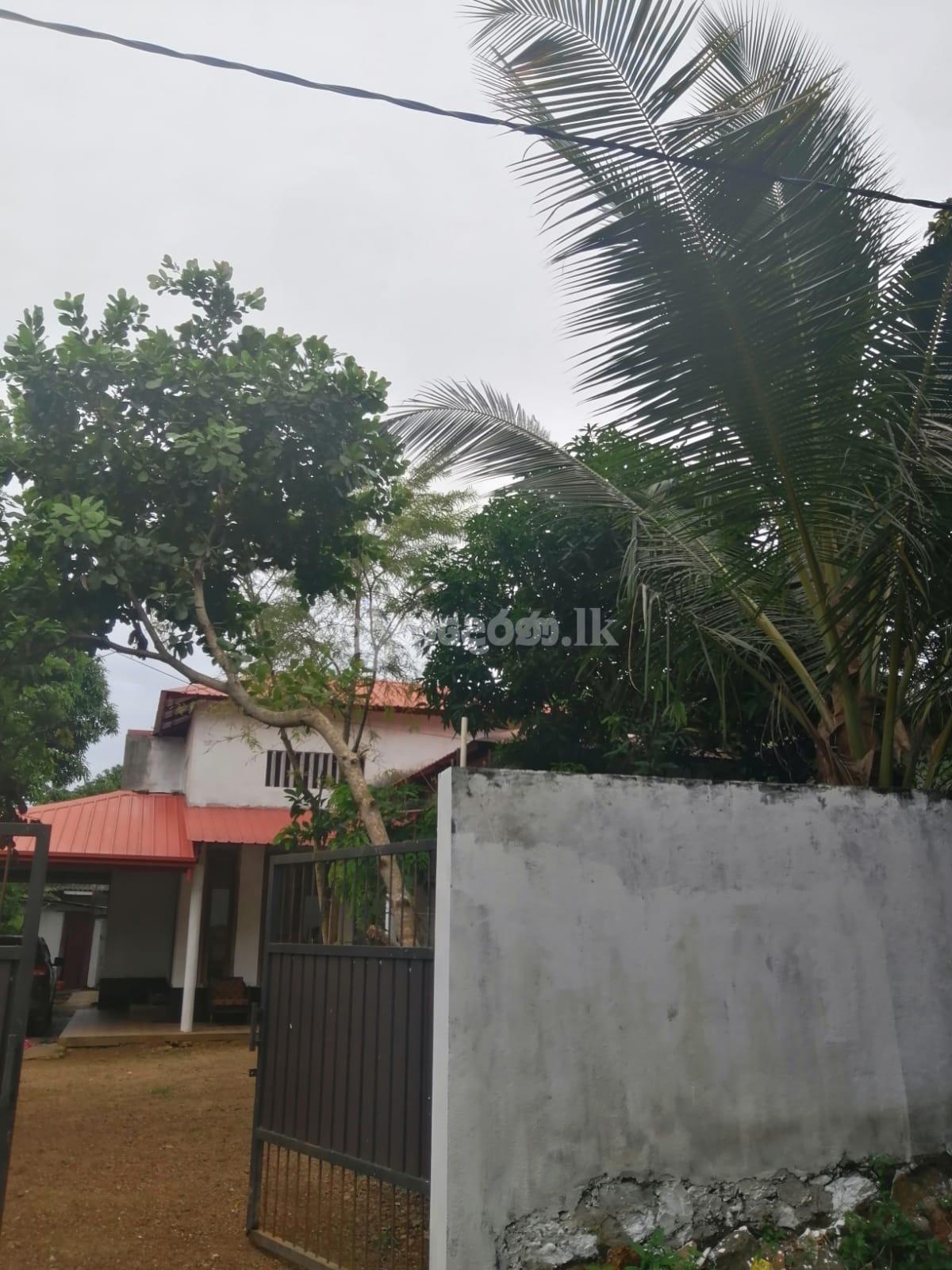 Single Storey House for rent in Panadura