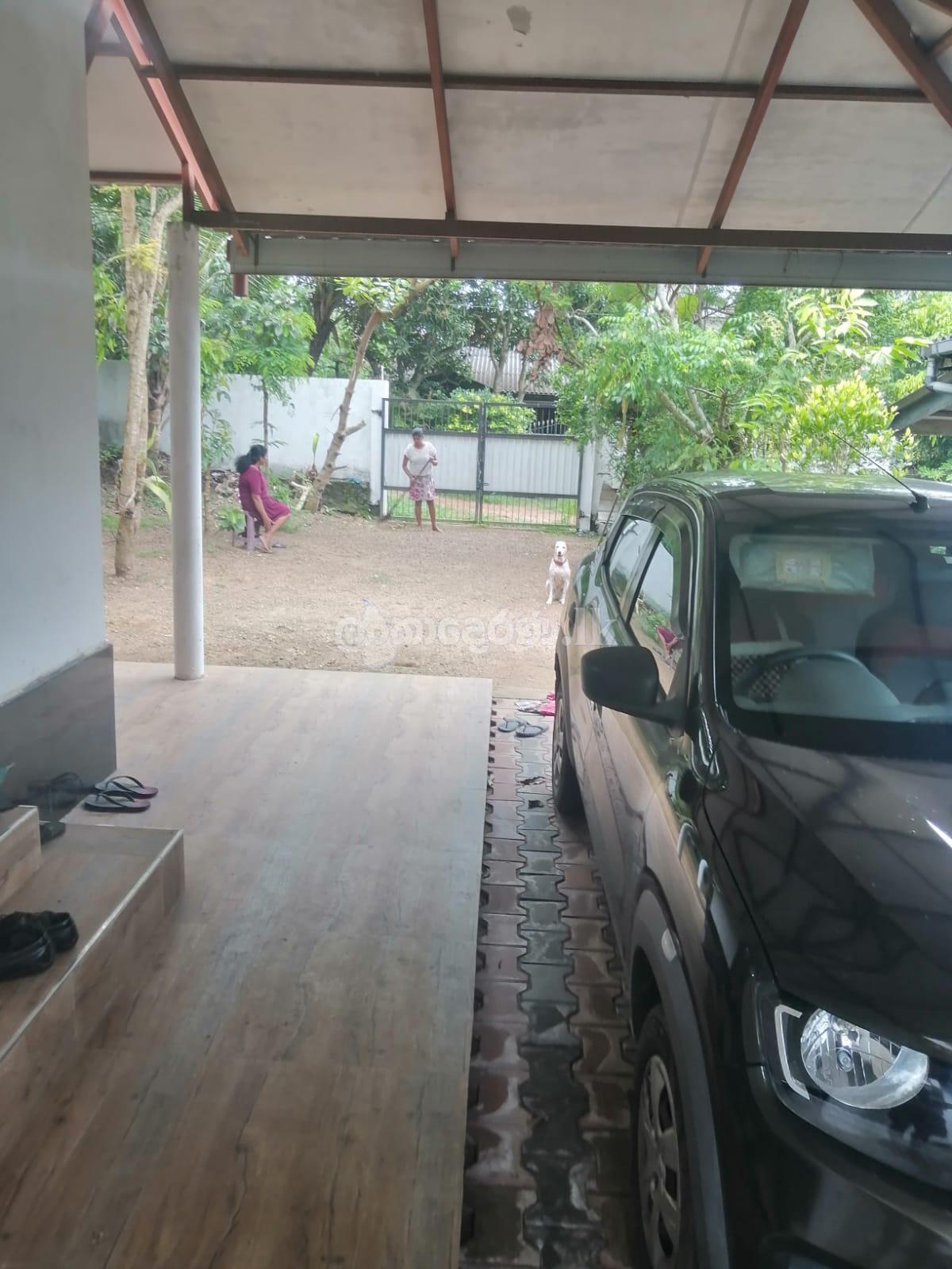 Single Storey House for rent in Panadura