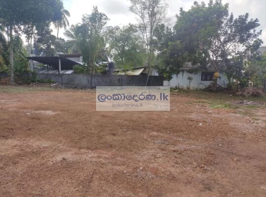 Land for sale in Mahabellana