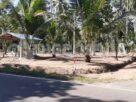 කුලියාපිටියෙන් ව්යාපාරික බිම් කොටසක්