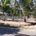 කුලියාපිටියෙන් ව්යාපාරික බිම් කොටසක්
