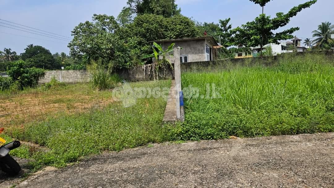 Land for sale