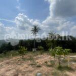 Land for Sale in Pasyala