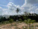 Land for Sale in Pasyala