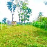 Land