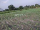 Code 3710B aland for sale Anurdhapura
