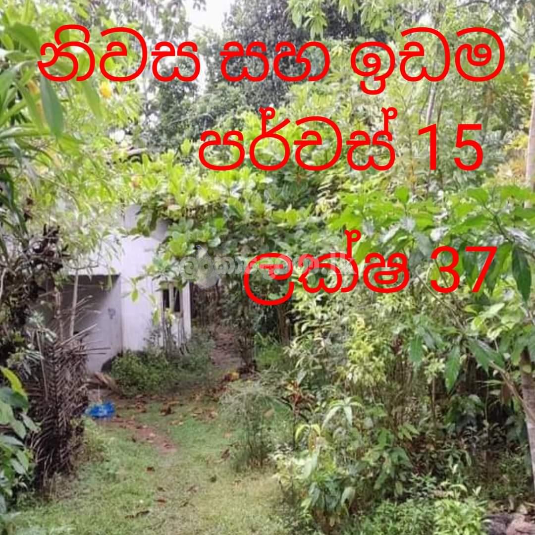 Land for sale with house