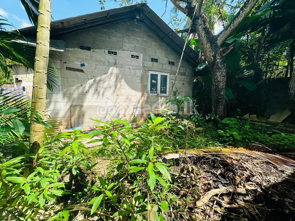 ⭕️ (S249) 13 perch Bare Land for Sale in Battaramulla Dewala rd (S249) 13 perch බත්තරමුල්ල දේවාල පාරේ ඉඩමක් විකිණීමට ඇත