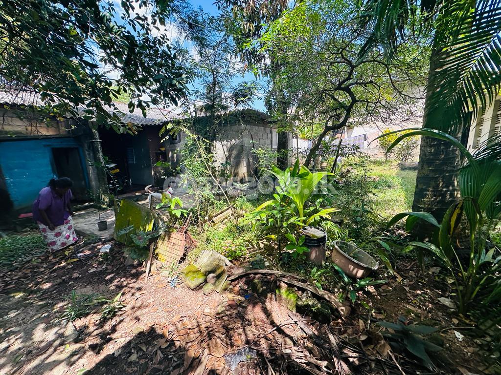 ⭕️ (S249) 13 perch Bare Land for Sale in Battaramulla Dewala rd (S249) 13 perch බත්තරමුල්ල දේවාල පාරේ ඉඩමක් විකිණීමට ඇත