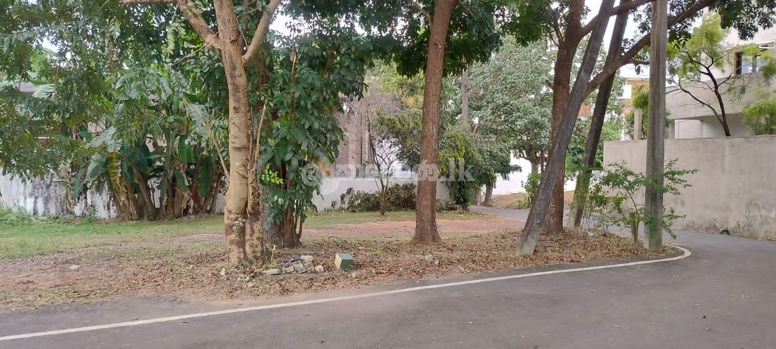 ⭕️ (S239) 10.2 perch Land Sale ITN Wickrama/pura Bat/mulla Lake Road / (S239) 10.2 perch බත්තරමුල්ල වික්රමසිංහපුර පාර ඉඩමක් විකිණීමට ඇත