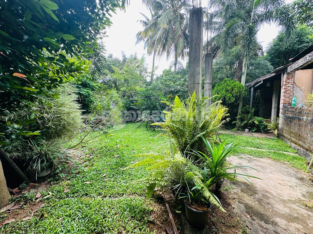 (S198) 18.7 perch Facing Parliment Road Land Sale in Jayawa-pura rd (S198) 18.7 perch බත්තරමුල්ල පාර්ලිමේන්තු පාර ජයන්තිපුර ඉඩමක් විකිණීමට