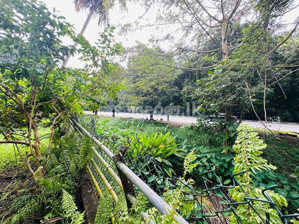 (S198) 18.7 perch Facing Parliment Road Land Sale in Jayawa-pura rd (S198) 18.7 perch බත්තරමුල්ල පාර්ලිමේන්තු පාර ජයන්තිපුර ඉඩමක් විකිණීමට