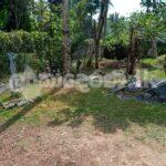පිලියන්දල මකුළුදූව හංදියෙන් ඉඩමක් ලක්ෂ 72ට.(මිල ගණන් සාකච්ඡා කලහැක.