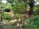 පිලියන්දල මකුළුදූව හංදියෙන් ඉඩමක් ලක්ෂ 72ට.(මිල ගණන් සාකච්ඡා කලහැක.