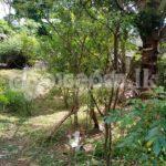 පිලියන්දල මකුළුදූව හංදියෙන් ඉඩමක් ලක්ෂ 72ට.(මිල ගණන් සාකච්ඡා කලහැක.