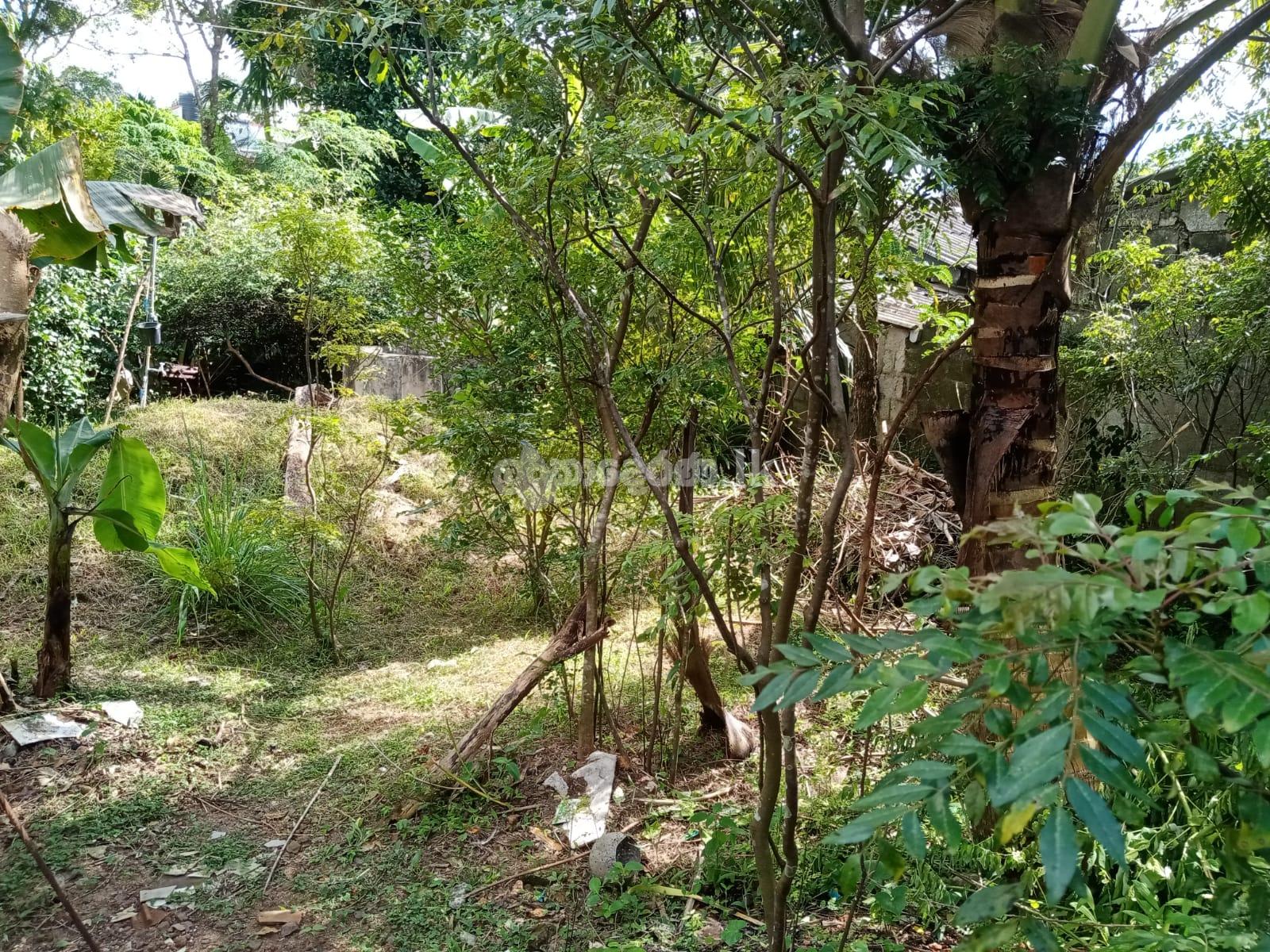 පිලියන්දල මකුළුදූව හංදියෙන් ඉඩමක් ලක්ෂ 72ට.(මිල ගණන් සාකච්ඡා කලහැක.