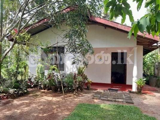 Code 3716 House for sale Minuwangoda