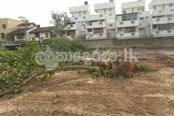 Code 3723 Land for sale Col05