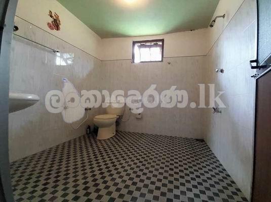 Code 3716 House for sale Minuwangoda