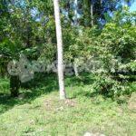 land for sale in Yakkala