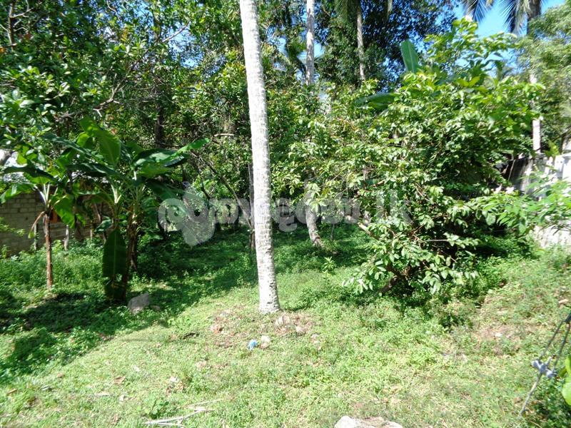 land for sale in Yakkala