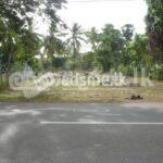 Land for Sale in Rajakadaluwa (Chilaw-Puttalam Road) / හලාවත – පුත්තලම මාර්ගයේ රාජකදළුව ඉඩම් කැබලි දෙකක් විකිණීමට