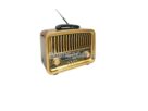 Golon RX-BT929 Bluetooth Speaker-Radio