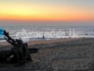 Code 3724 Beach land for sale Marawila