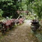 Code 3737 Land for sale Kandy