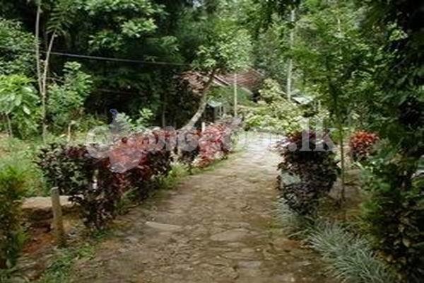 Code 3737 Land for sale Kandy