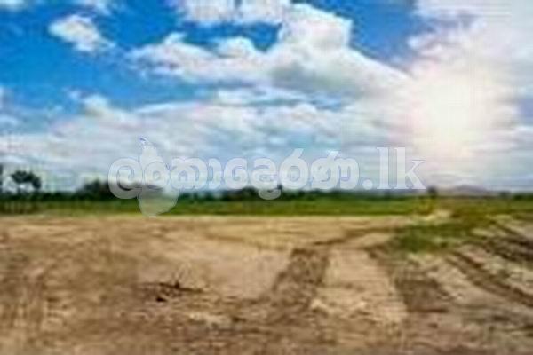 Code 3738 Land for sale Kottawaa