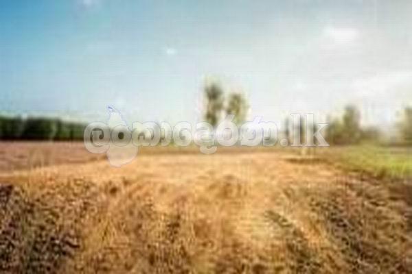 Code 3738 Land for sale Kottawaa