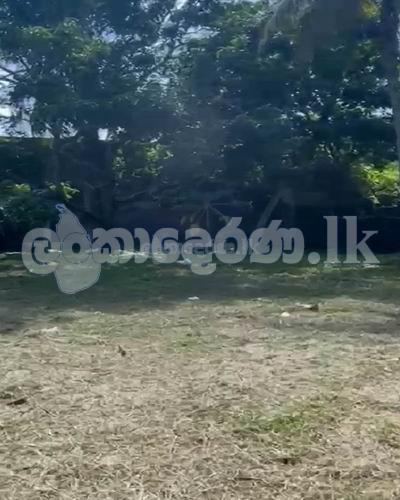 Code 3733 Land for sale Negombo