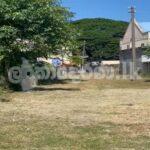 Code 3733 Land for sale Negombo