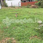 Land for Sale in Magammana, Homagama