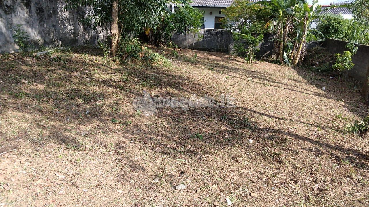 10.2 p land in Nature’s way residencies