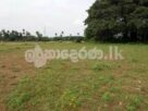 Code 3747 Land for sale Avisawella