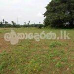 Code 3747 Land for sale Avisawella