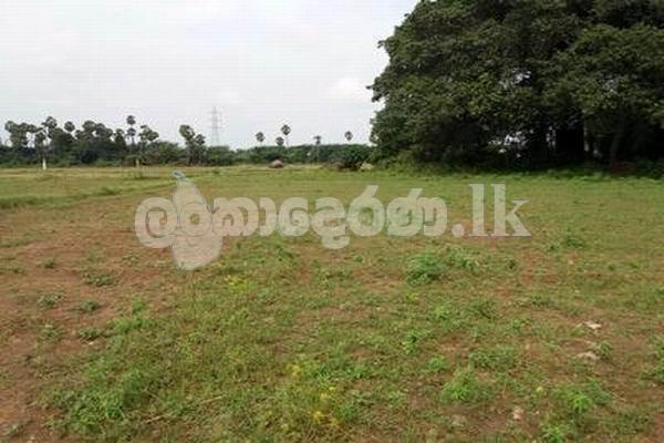 Code 3747 Land for sale Avisawella