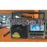 Fepe Music Player/FM Radio FP-901BT