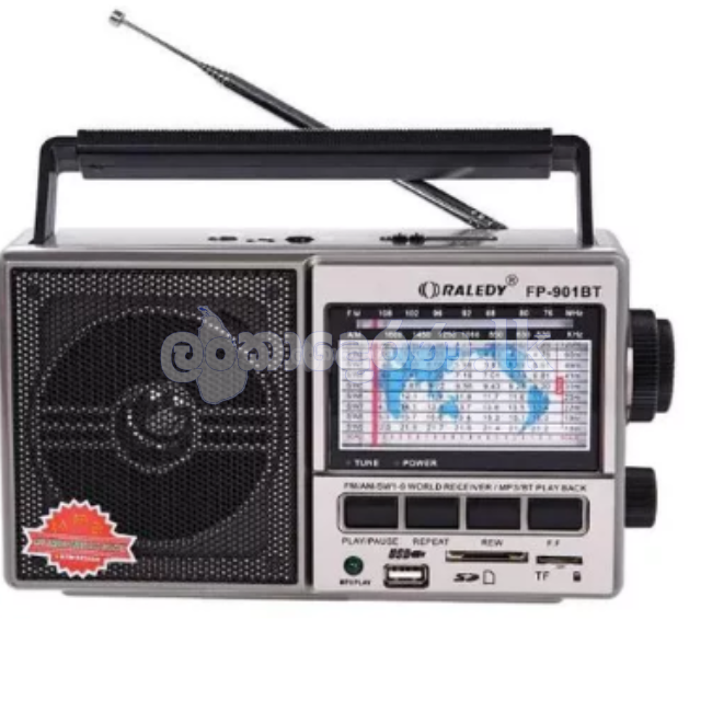 Fepe Music Player/FM Radio FP-901BT