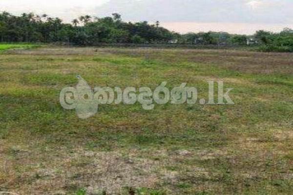 Code 3747 Land for sale Avisawella