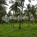 Code 3747 Land for sale Avisawella