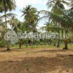 Code 3747 Land for sale Avisawella