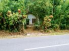 බදුලු පිටිය, මාවනැල්ල