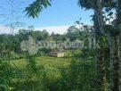 Nawalapitiya Sudugalpotta 5 acres land for sale-suitable for hotel projects